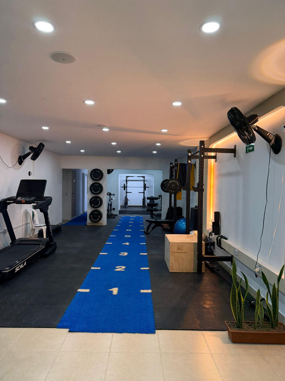 Sala funcional Renova